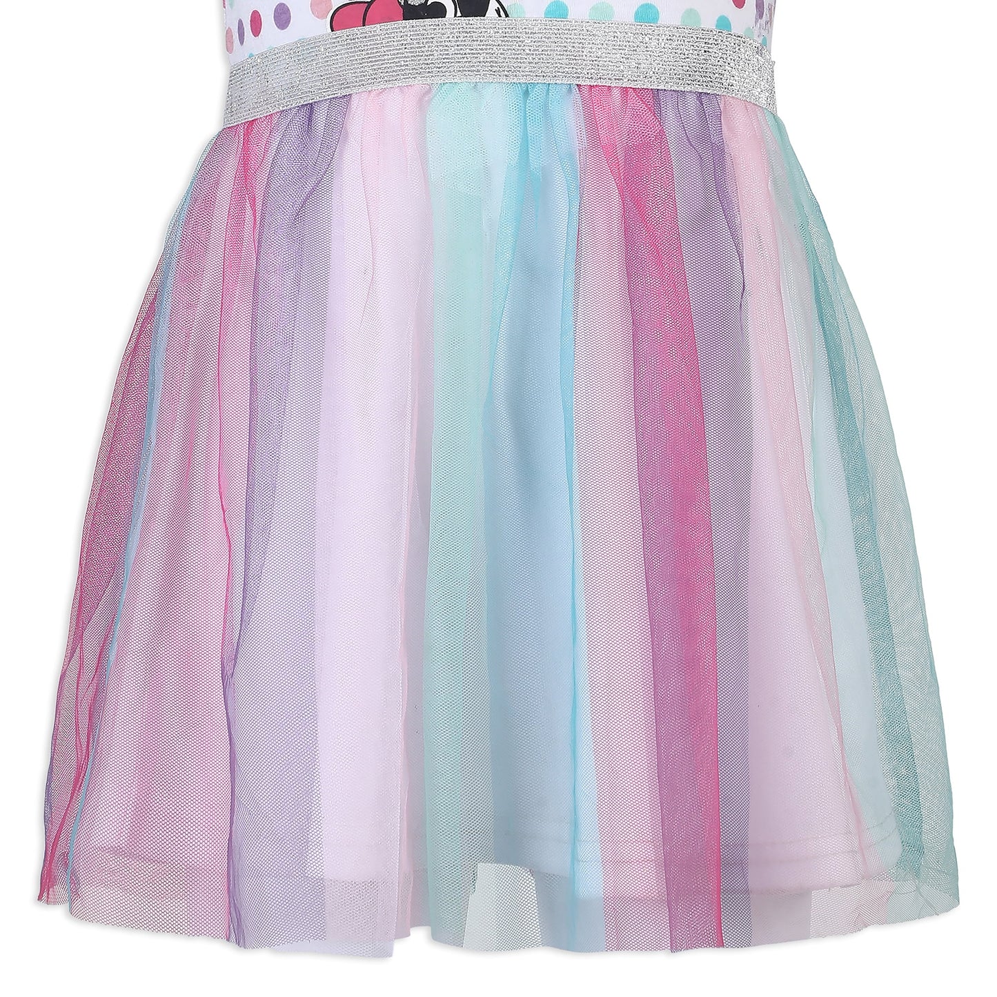 Disney Minnie Mouse Girls Single Birthday Tutu Dress for Infants and Toddlers