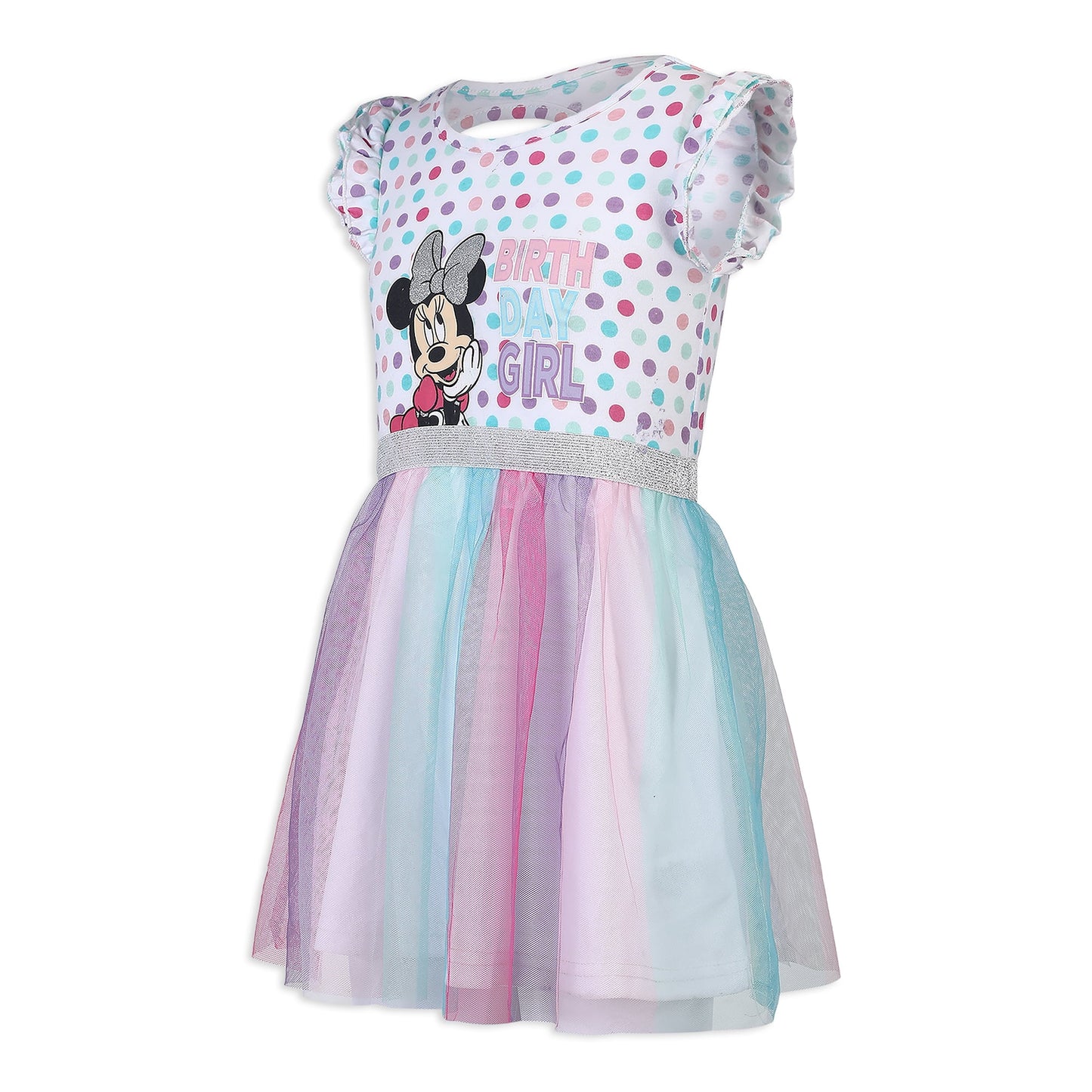 Disney Minnie Mouse Girls Single Birthday Tutu Dress for Infants and Toddlers