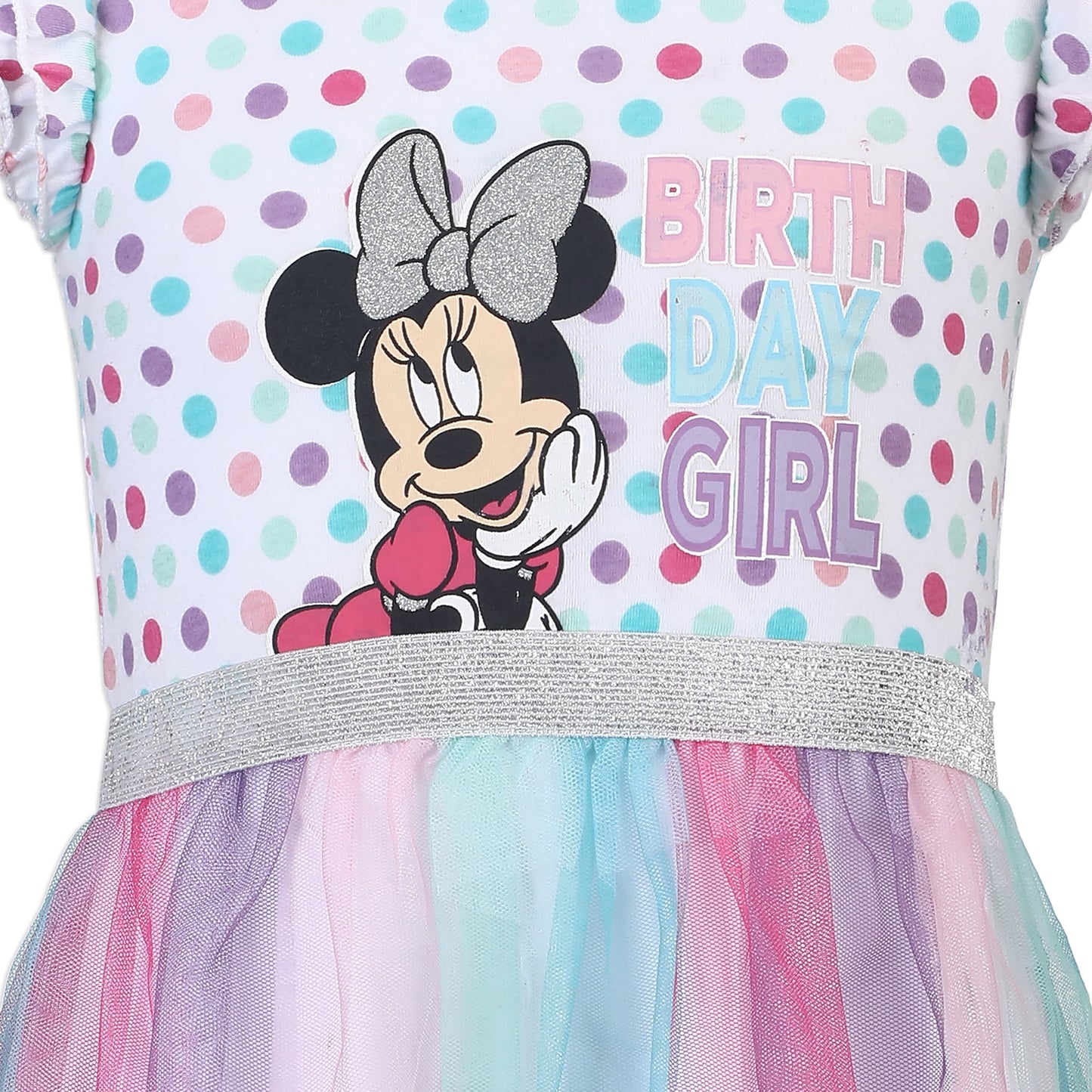 Disney Minnie Mouse Girls Single Birthday Tutu Dress for Infants and Toddlers